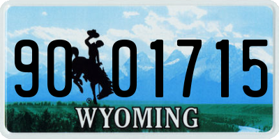 WY license plate 9001715