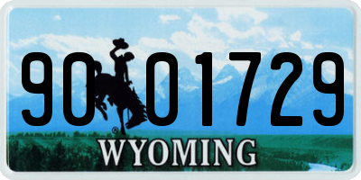 WY license plate 9001729