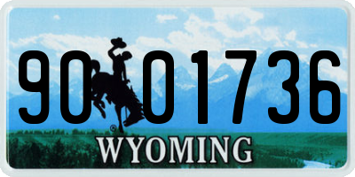 WY license plate 9001736