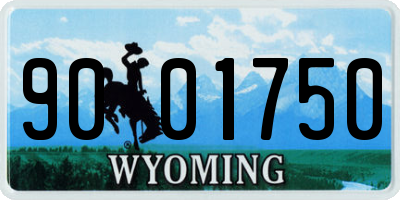 WY license plate 9001750