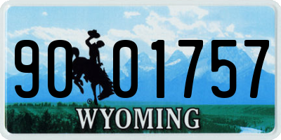 WY license plate 9001757