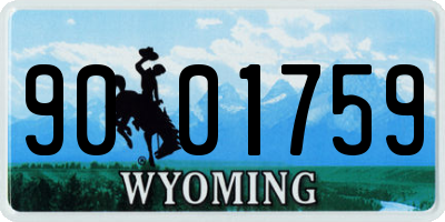 WY license plate 9001759
