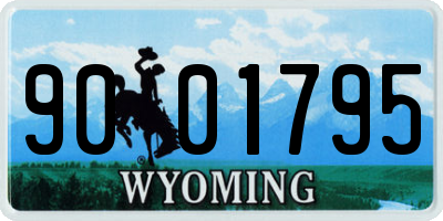 WY license plate 9001795
