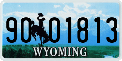 WY license plate 9001813