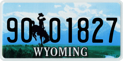 WY license plate 9001827