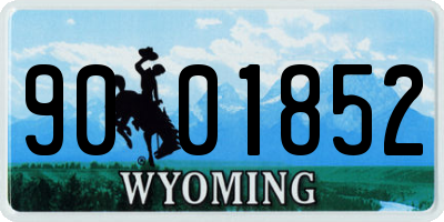 WY license plate 9001852