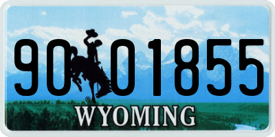 WY license plate 9001855