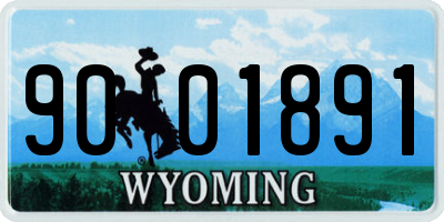 WY license plate 9001891