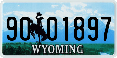 WY license plate 9001897