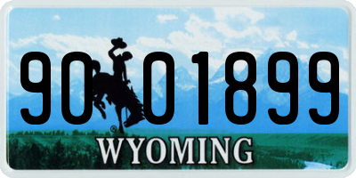 WY license plate 9001899