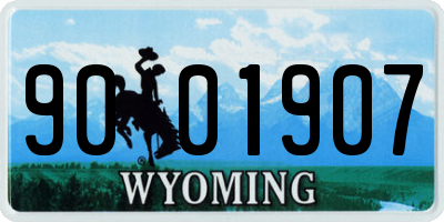 WY license plate 9001907