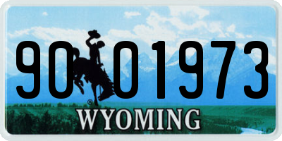WY license plate 9001973