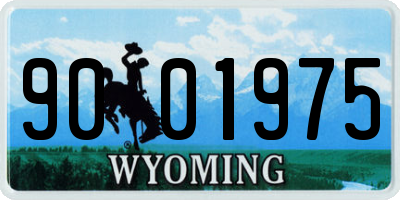 WY license plate 9001975
