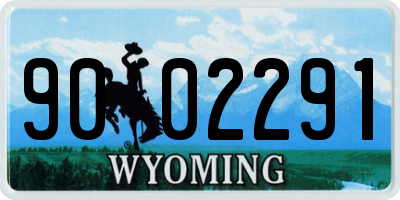 WY license plate 9002291