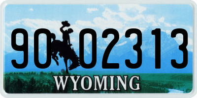 WY license plate 9002313
