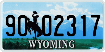 WY license plate 9002317