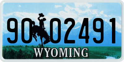 WY license plate 9002491