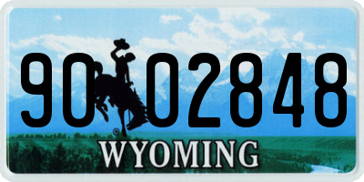 WY license plate 9002848