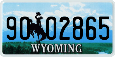 WY license plate 9002865
