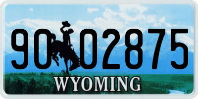WY license plate 9002875