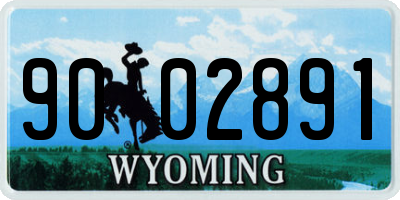 WY license plate 9002891