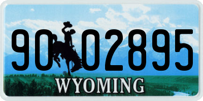 WY license plate 9002895