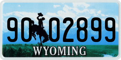 WY license plate 9002899