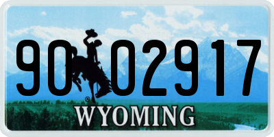 WY license plate 9002917