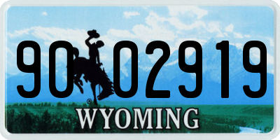 WY license plate 9002919