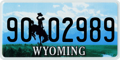 WY license plate 9002989