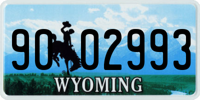 WY license plate 9002993