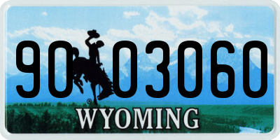 WY license plate 9003060