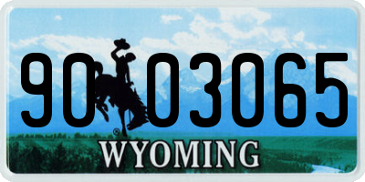 WY license plate 9003065