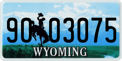 WY license plate 9003075