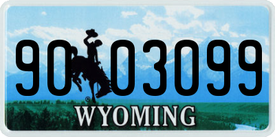 WY license plate 9003099