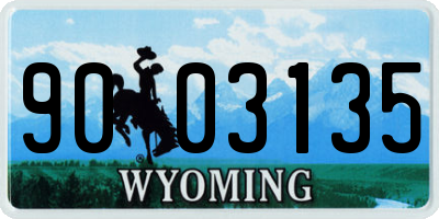 WY license plate 9003135
