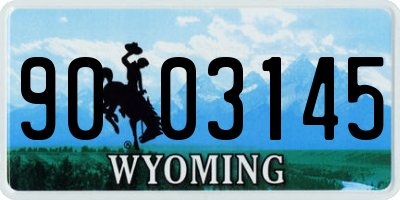 WY license plate 9003145