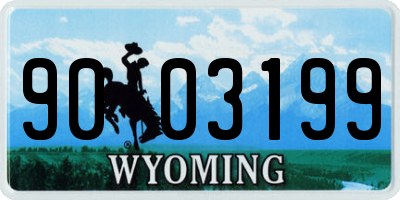 WY license plate 9003199