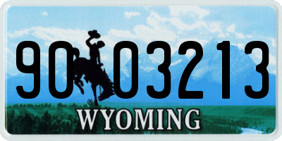 WY license plate 9003213
