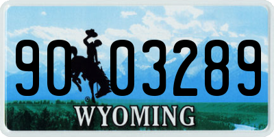 WY license plate 9003289