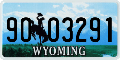 WY license plate 9003291