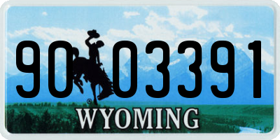WY license plate 9003391