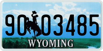 WY license plate 9003485