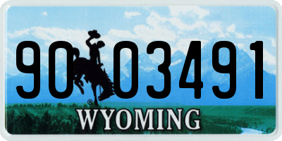 WY license plate 9003491