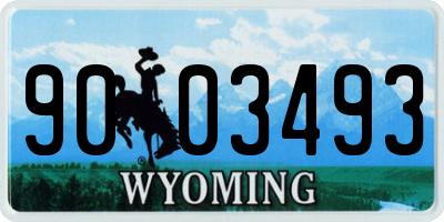 WY license plate 9003493
