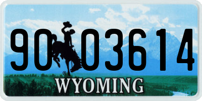 WY license plate 9003614