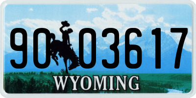 WY license plate 9003617