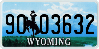 WY license plate 9003632