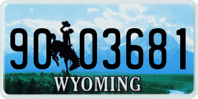 WY license plate 9003681