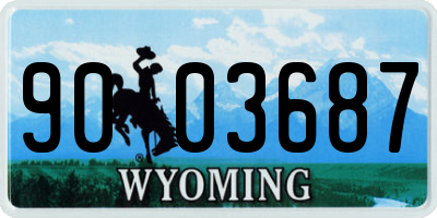 WY license plate 9003687